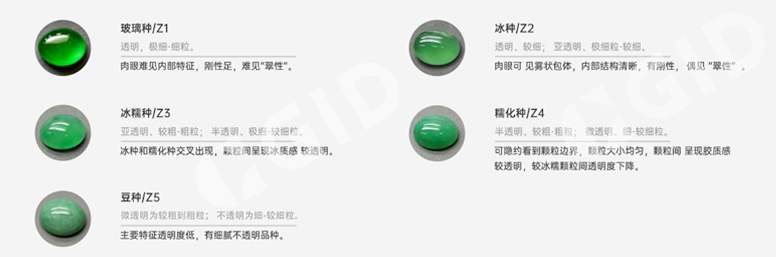 　　图 1 ：翡翠种的分类