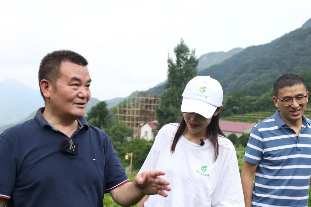 2022年7月19日,程卫华在包家乡石佛村有机茶园介绍有机产业发展情况