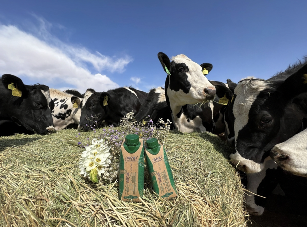 图片来源:企业供图和外界对传统牧场的想象不同,特仑苏高端产品沙漠