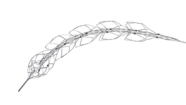 强生止血有哪些强生五赴＂进博之约＂，擘画健康中国新画卷_https://www.jmylbn.com_新闻资讯_第5张