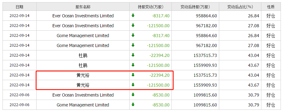 国美过冬，黄光裕出走