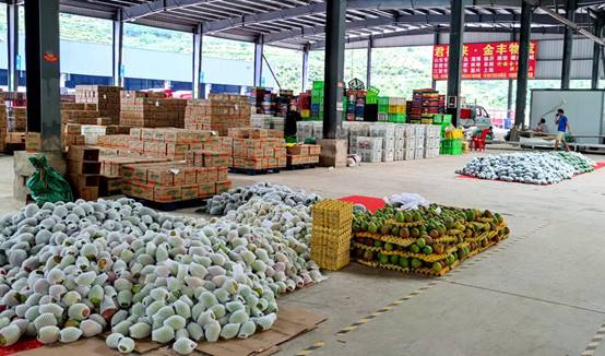 图为云南新发地滇川高原特色农产品智慧冷链物流园内一角