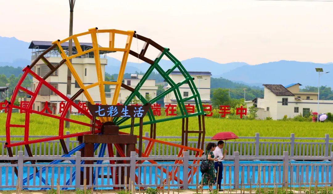 新丰县马头镇乌石岗村丰收美景.