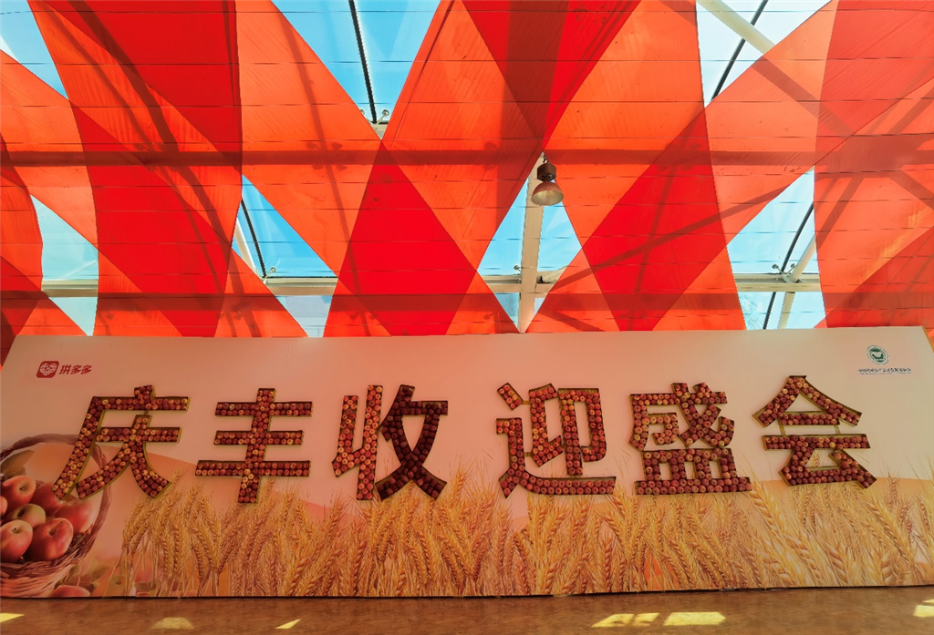△在北京昌平的庆祝活动现场，来自全国六大产区的360斤苹果，组成“庆丰收 迎盛会”几个大字，吸引观众驻足“打卡”。戴军 摄
