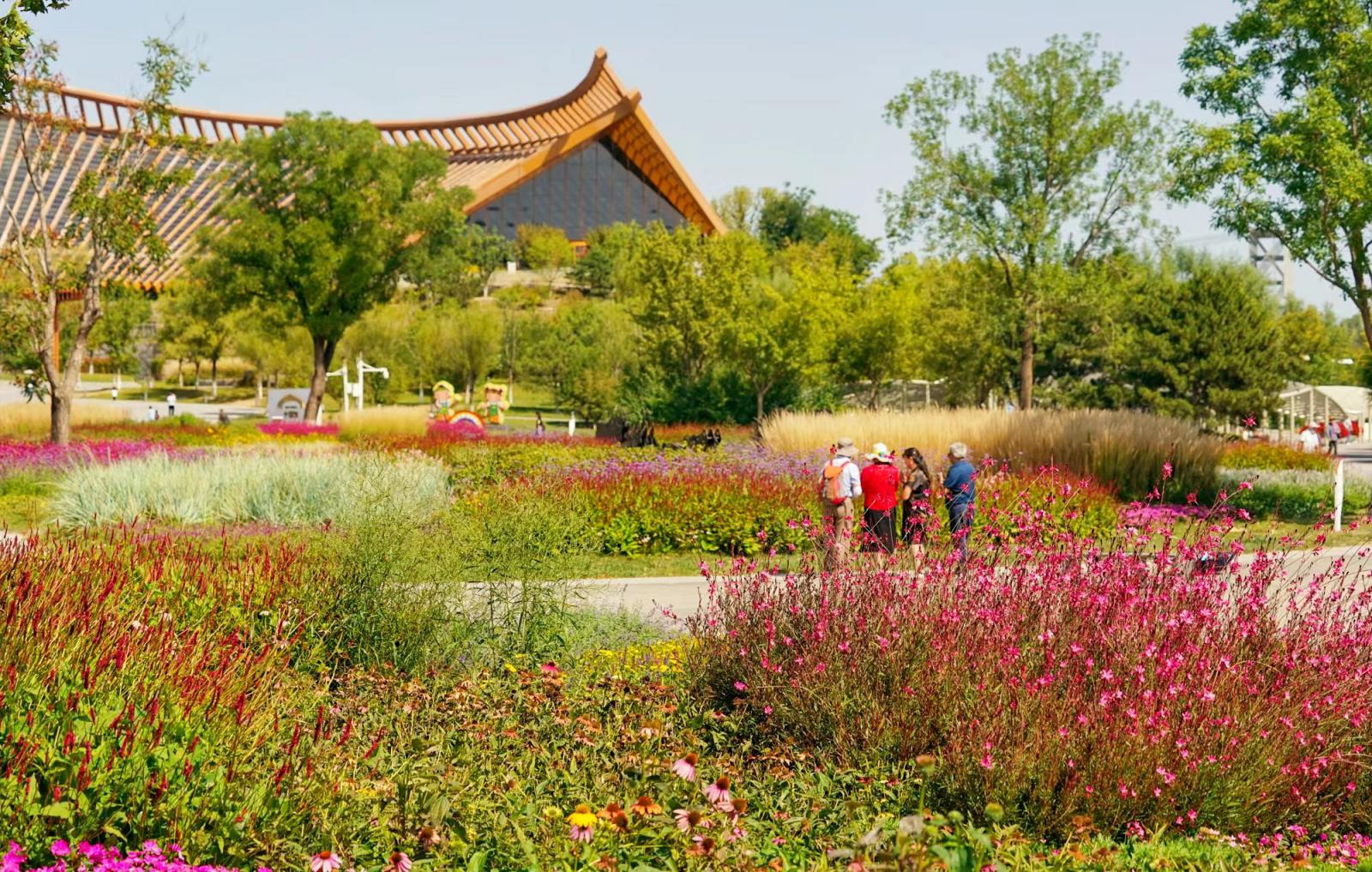 北京世园公园秋色宜人|北京市_新浪财经_新浪网