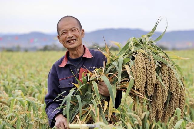 河北张家口,农民丰收的笑脸.受访者供图