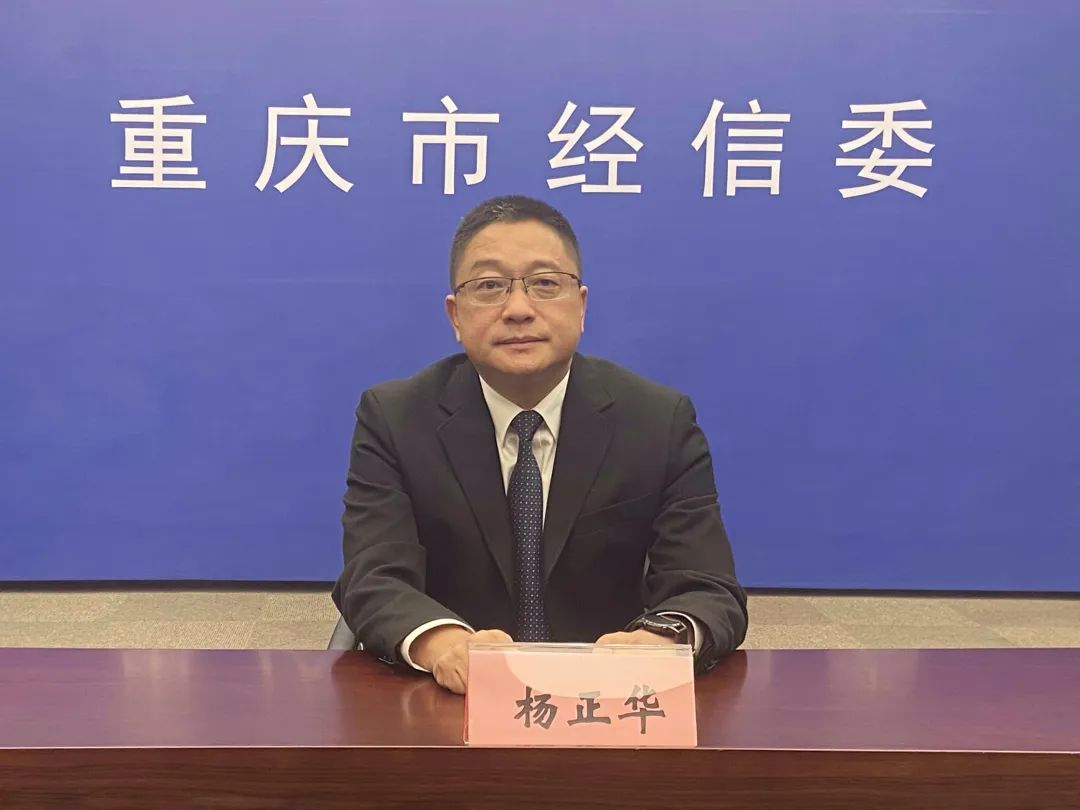 重庆市经济和信息化委员会副主任 杨正华