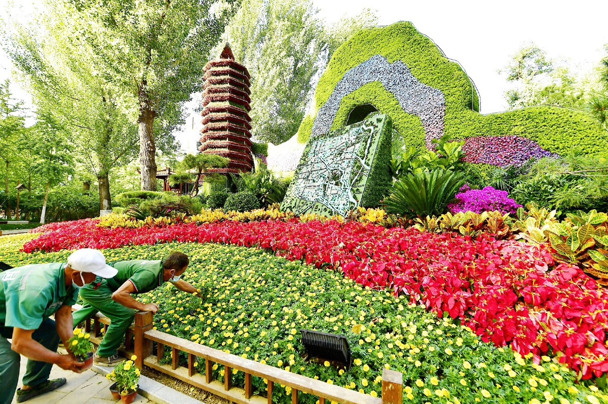 大运河森林公园迎国庆主题景观花坛.记者 唐建/摄