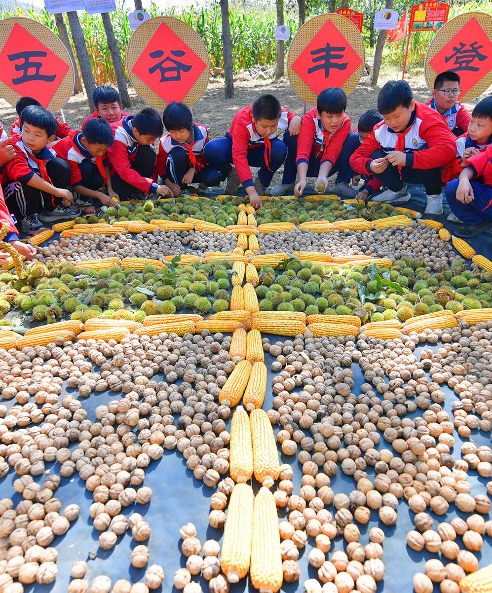 (组图)丰收节里庆丰收_手机新浪网