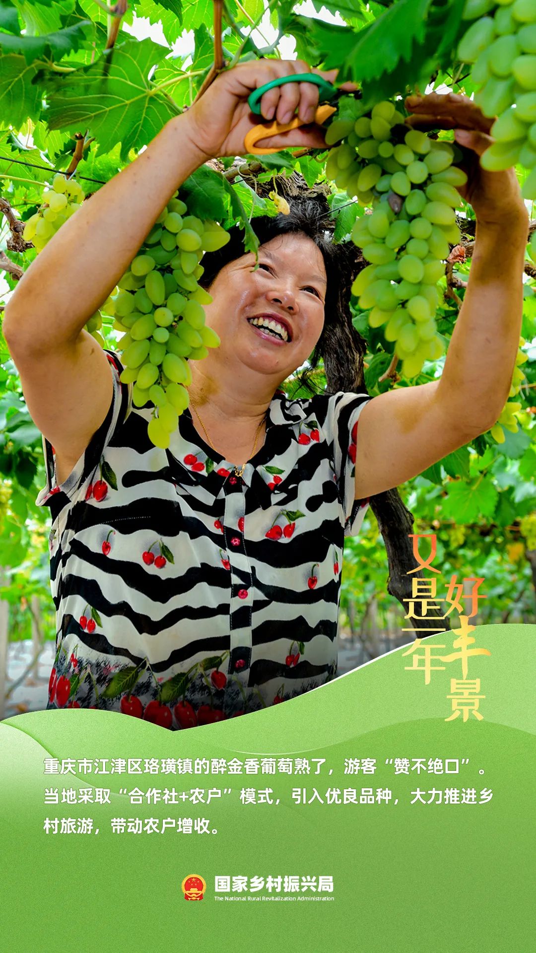 今天,一起分享丰收的喜悦!|乡村振兴_新浪财经_新浪网