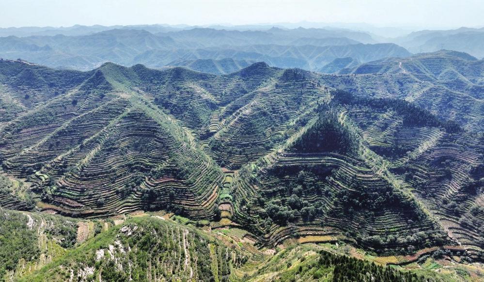 图为9月22日在王金庄拍摄的旱作石堰梯田
