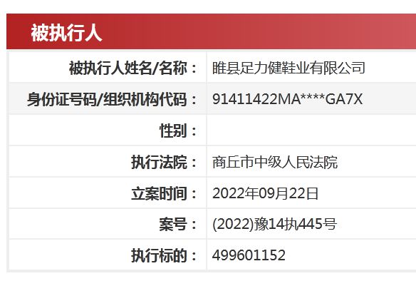 中国执行信息公开网截图