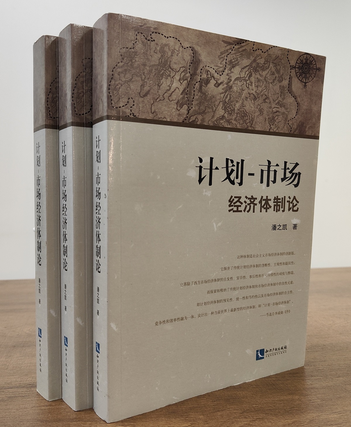 同富裕理论中的经济体制理论探索—— 第二讲：计划-市场经济体制中的共同富裕目标