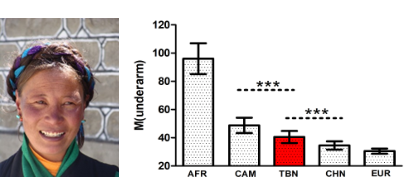 世界人群肤色比较（AFR-非洲，CAM-柬埔寨，TBN-藏族，CHN-汉族，EUR-欧洲）