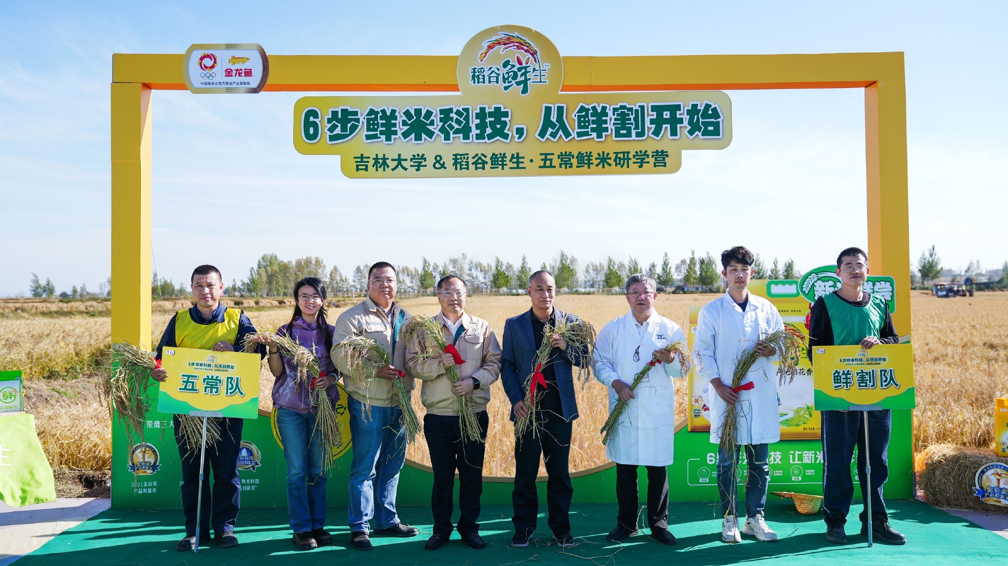 　　稻谷鲜生五常鲜米研学营鲜割开镰仪式