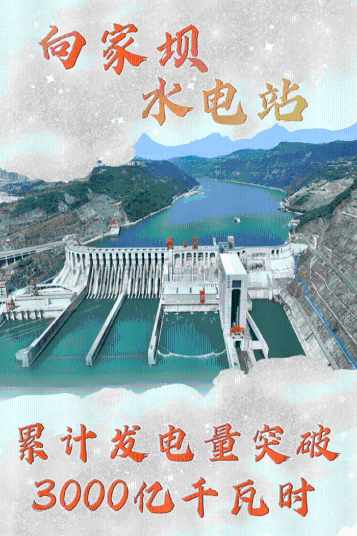 海报设计：赵若伊