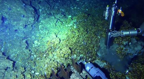“深海”我国首次深海保温保压取样海试成功