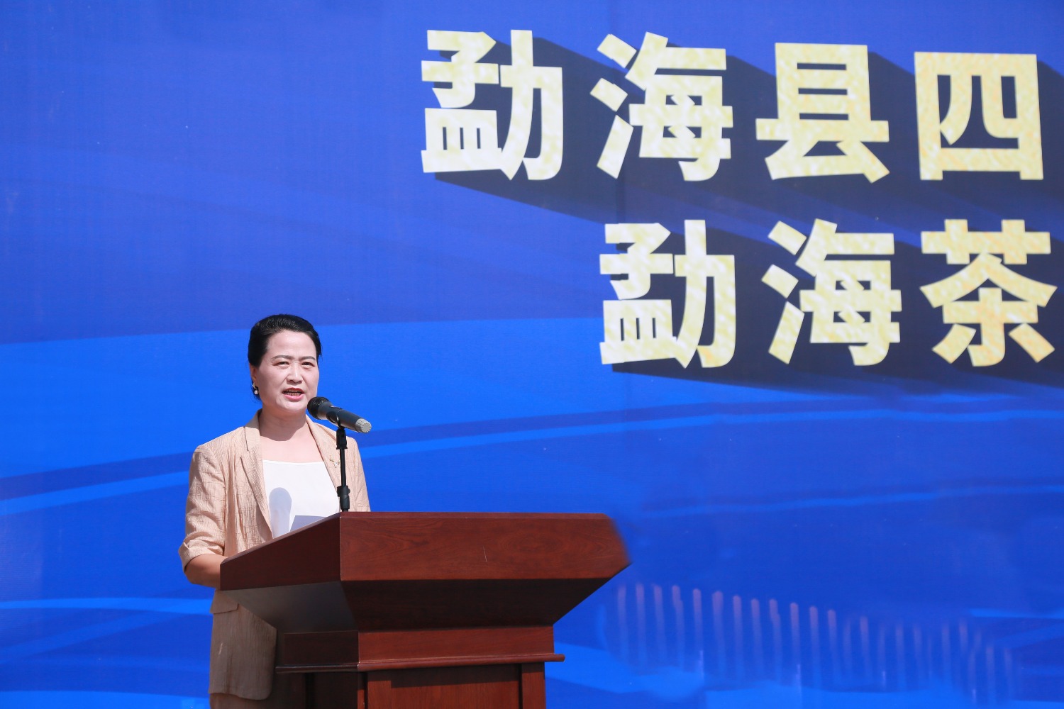 大益集团董事长张亚峰致辞