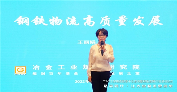 　　图:冶金工业规划研究院副院长王丽娟分享