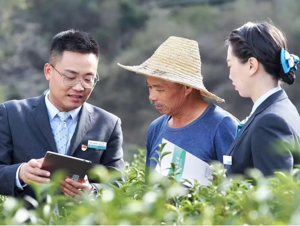 农业银行福建省分行:耕耘闽山闽水谱新篇_手机新浪网