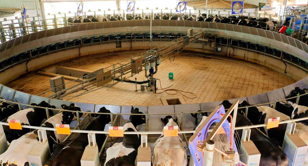 (组图)"智慧牛场" 激活绿色农业|大城县_新浪财经_新浪网