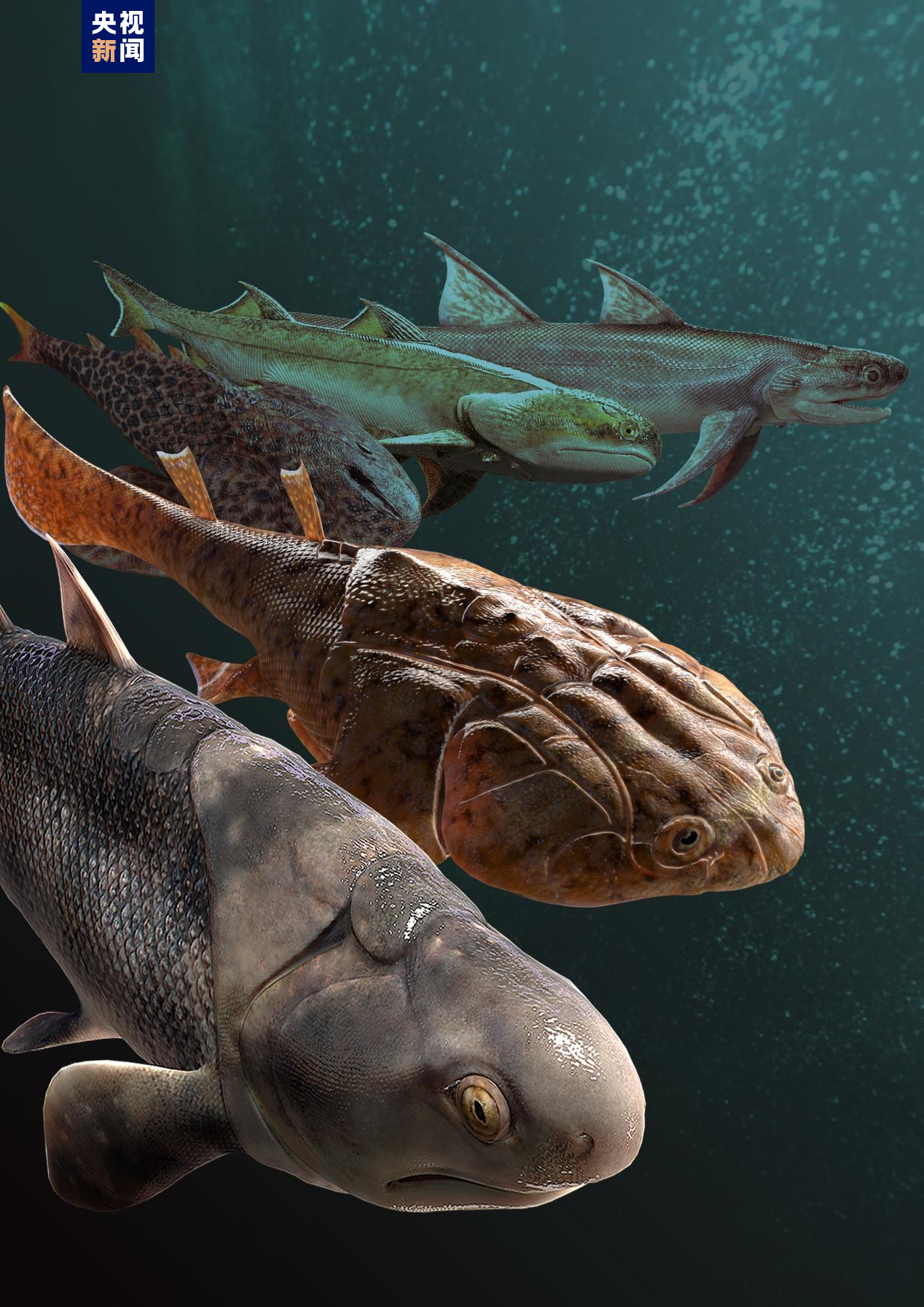 科学探索|“从鱼到人”演化过程长达5亿年左右 化石揭秘人类演化史