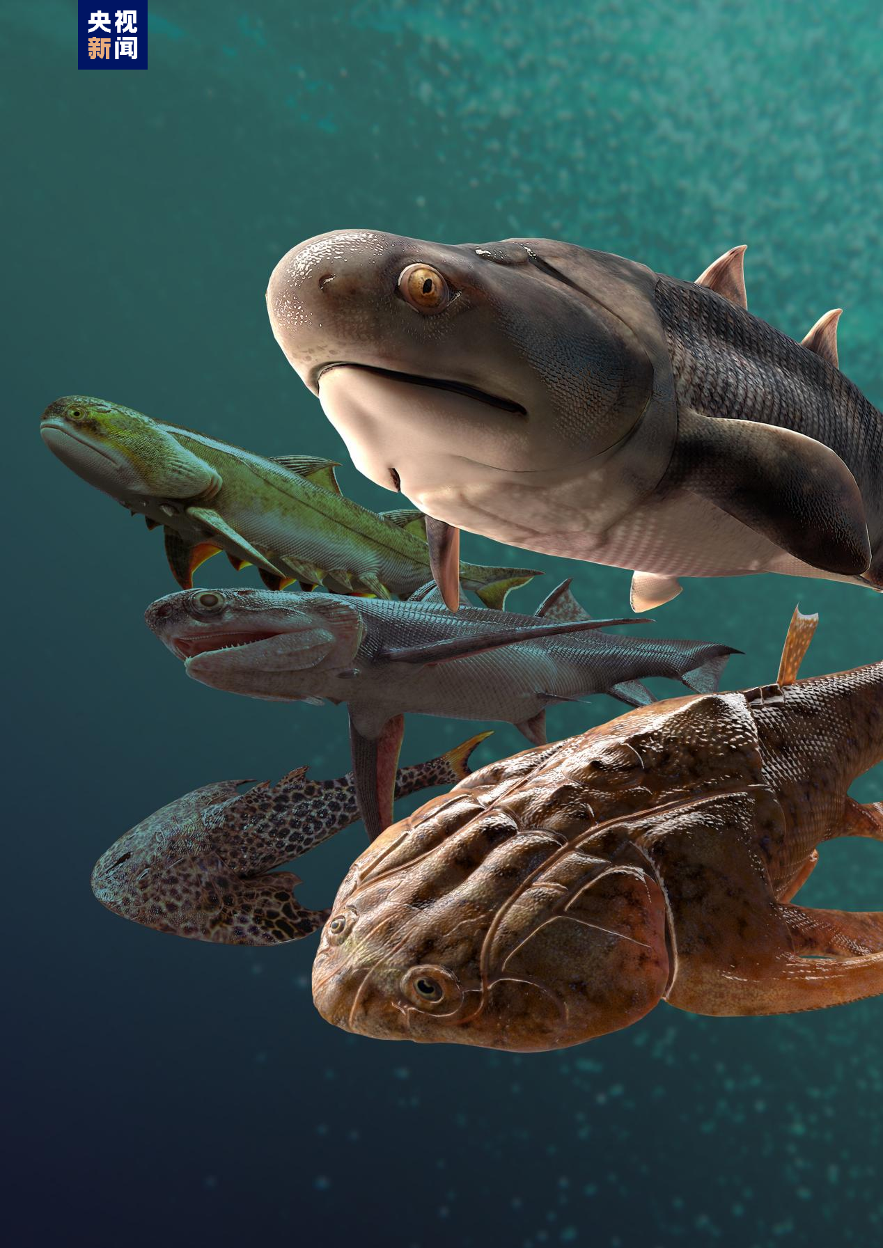 科学探索|“从鱼到人”演化过程长达5亿年左右 化石揭秘人类演化史