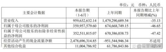 　　（来源：南京证券2022半年报）