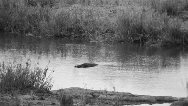 杨森娶了12个老婆，90岁时17岁小妾问：有几个是心甘情愿嫁你的？休闲区蓝鸢梦想 - Www.slyday.coM