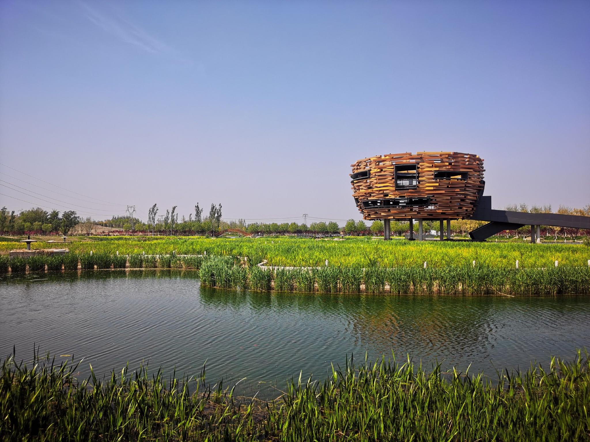 国庆假期温榆河公园推出13项假日体验 带市民享受京城诗意生活