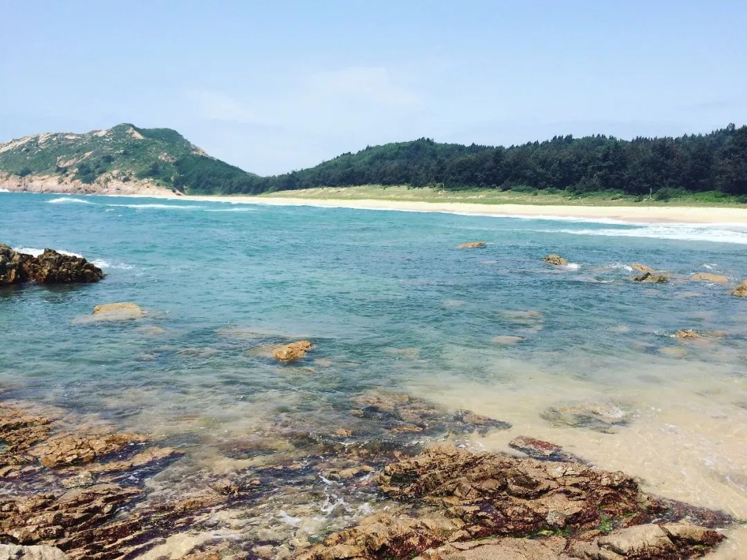 国际重要湿地 | 广东惠东港口海龟国际重要湿地:大陆海岸线上唯一的国家级海龟自然保护区_手机新浪网