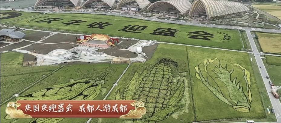 “成都”国庆假期云旅游、云逛展 成都文旅直播带来沉浸式新体验