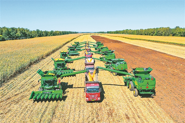 我在现场丨宝泉岭分公司农机作业一条龙|农机_新浪财经_新浪网