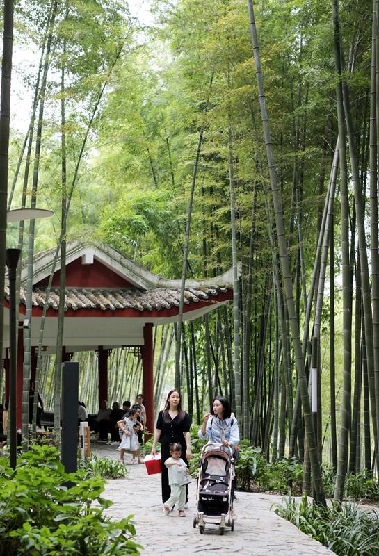 永川茶山竹海景区电话图片