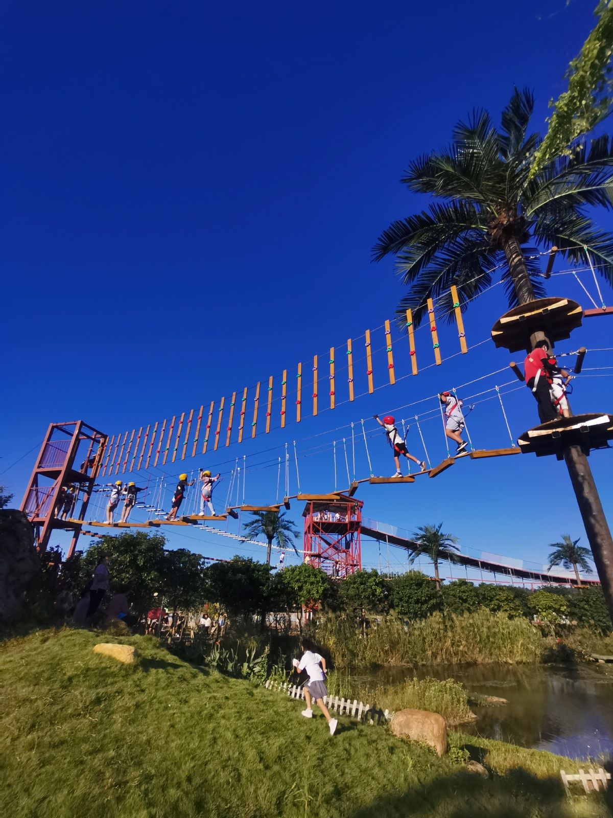 珠海斗门迎来乡村旅游黄金周累计接待游客近37万人次