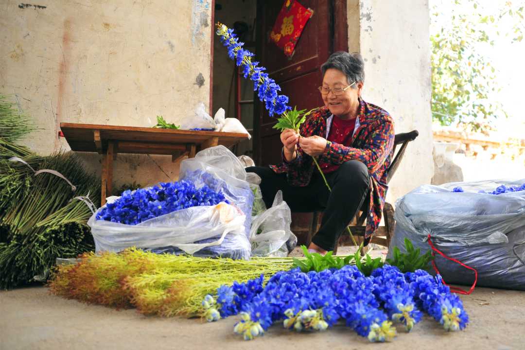 陈荣清老人正在组装仿真花.武亚东摄工人正在加工三粉机械.
