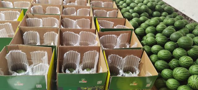 等待裝箱的精品西瓜。受訪者供圖