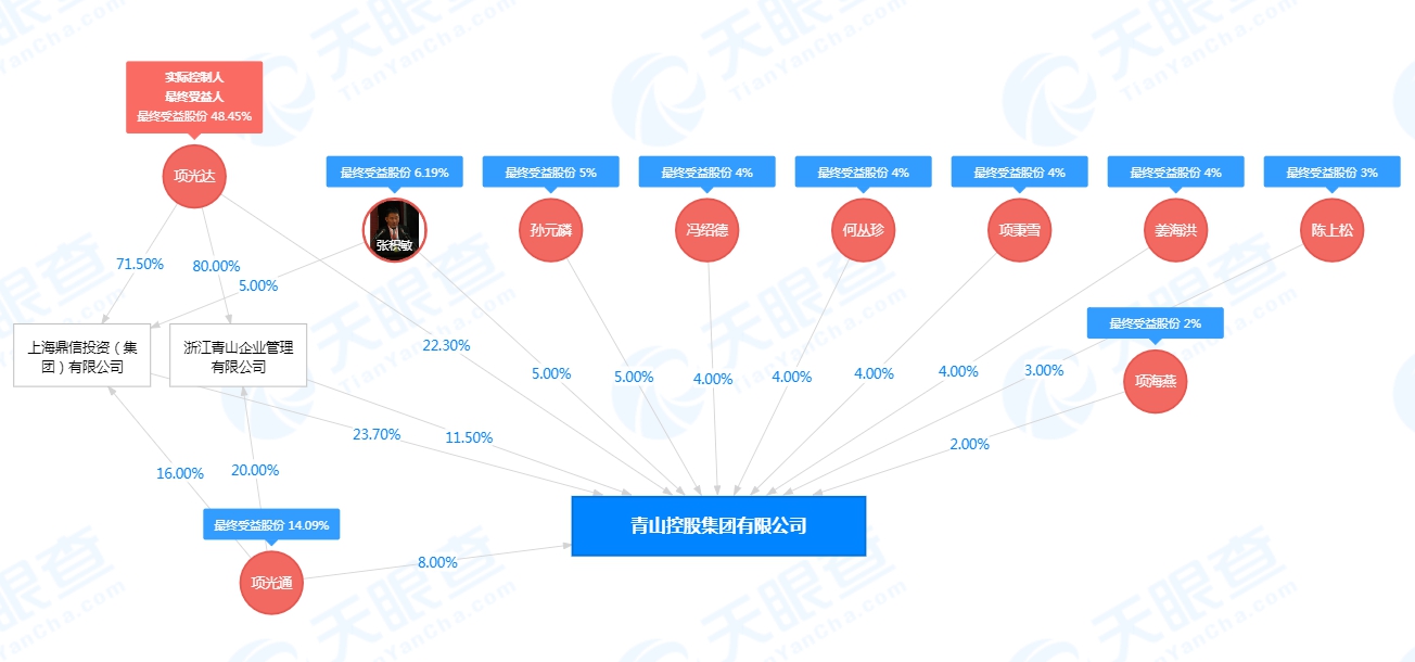 项光达同时也是青山控股实控人(来源：天眼查)