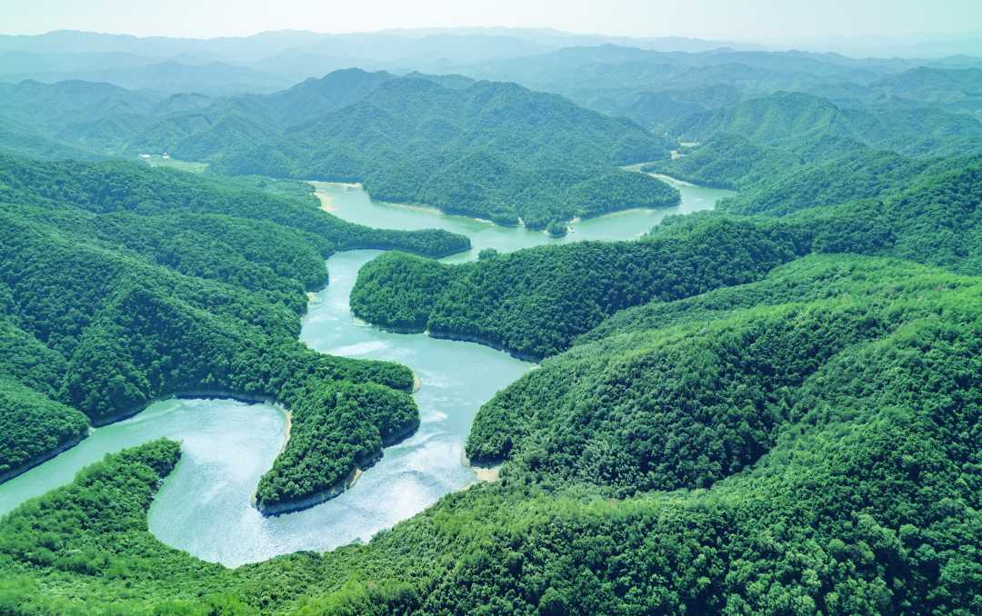 绿水青山生态美|绿水青山_新浪财经_新浪网