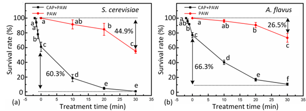 图1：CAP与PAW联合处理提高了对酵母和黄曲霉菌的杀灭效率