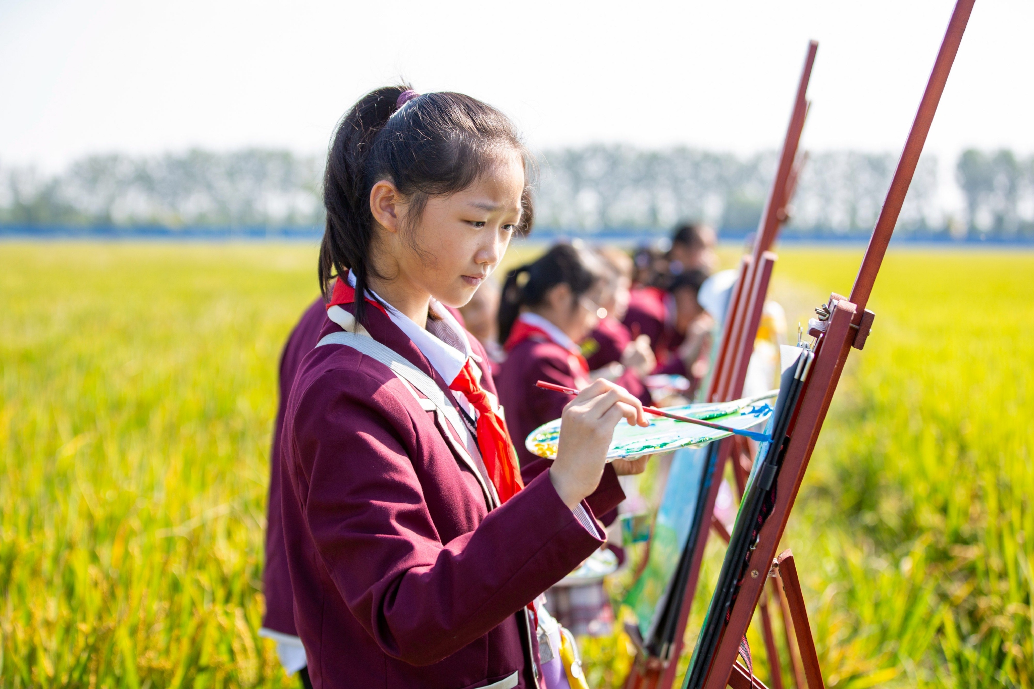 学生们在金黄色的稻田用画笔描绘家乡丰收美景。通讯员 翟慧勇 摄