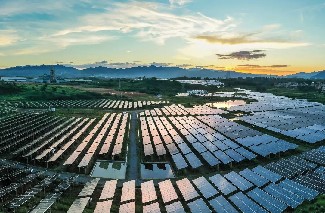 广西梧州市蒙山县集中式光伏扶贫电站.(姚让和/摄)