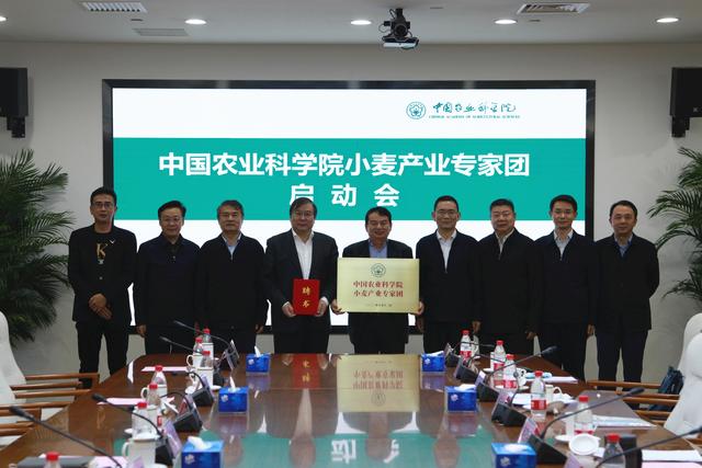 中国农业科学院小麦产业专家团启动会.中国农科院供图