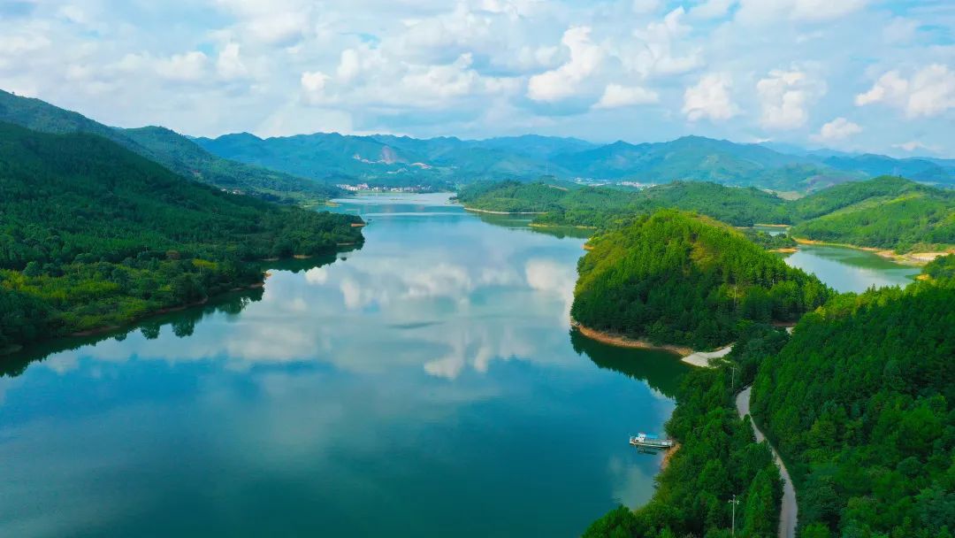 湖南永州市新田县金陵水库,茂盛林木成为"碳库".(刘贵雄/摄)