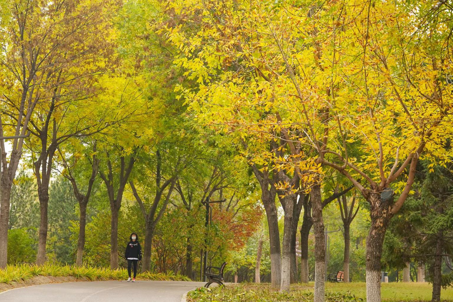 美图| 南海子公园秋色斑斓_新浪财经_新浪网