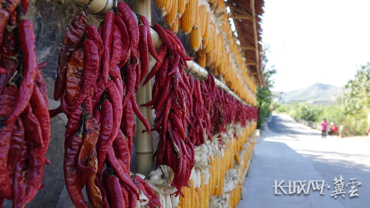 村口的晒架上挂满了玉米和辣椒.长城网·冀云客户端记者朱昊明摄