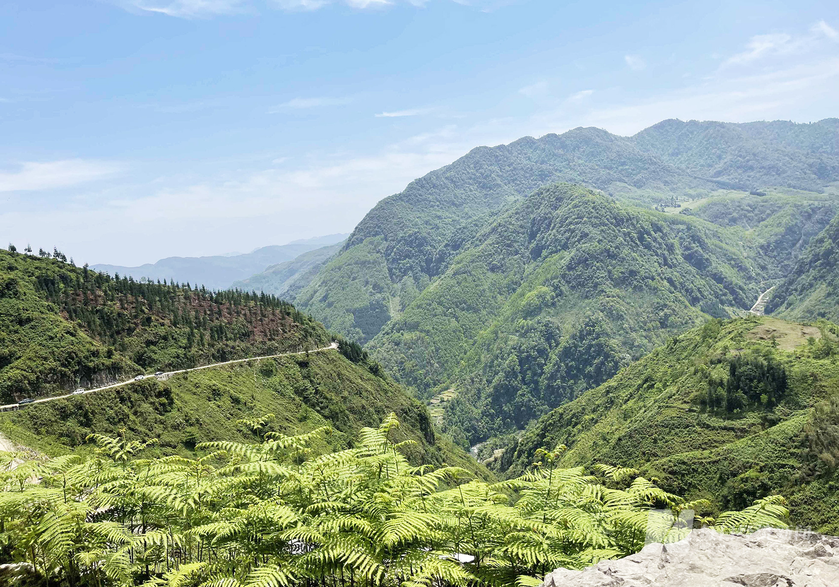 前往四川大山深处磷矿的路 图片来源：图片来源：每经记者 胥帅 摄（图文无关）