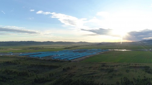 　　为了更好践行无添加剂的理念，简爱建设父爱万头牧场