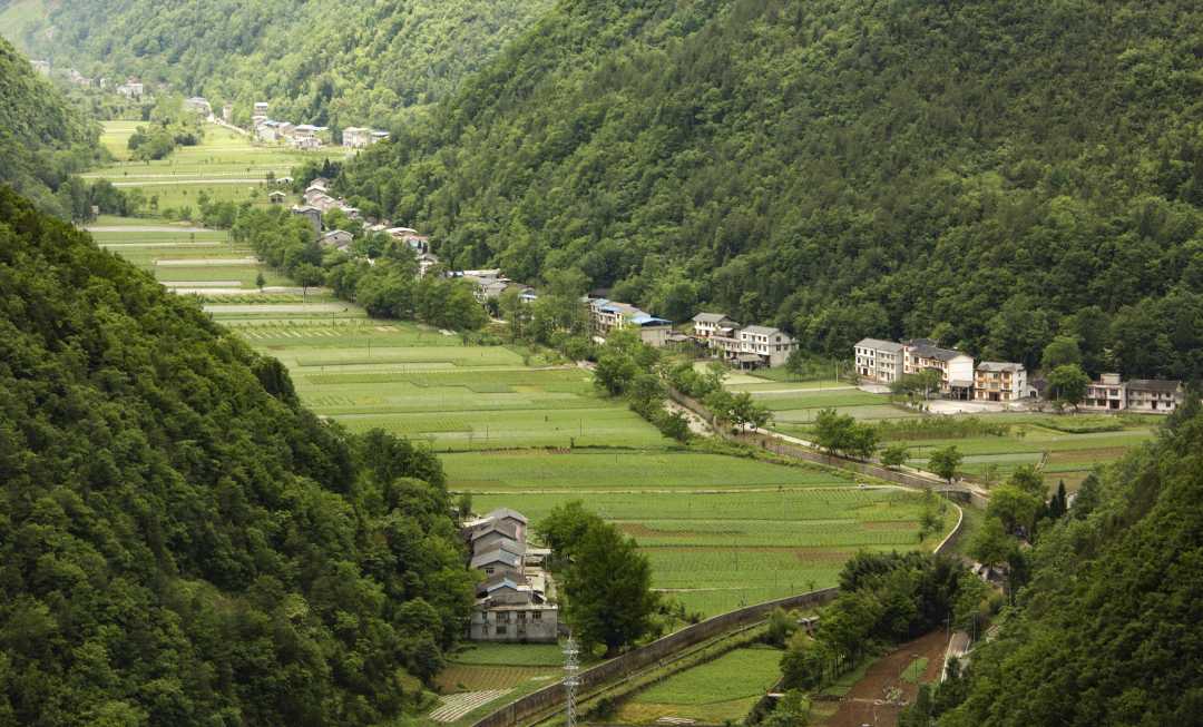 湖北恩施板桥镇:打造"康养森林小镇" 用绿色成就诗与远方