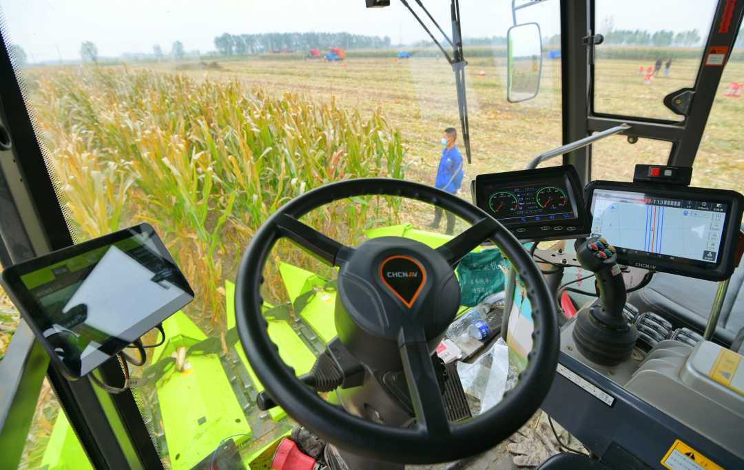 无人驾驶玉米收割机正在进行机收作业